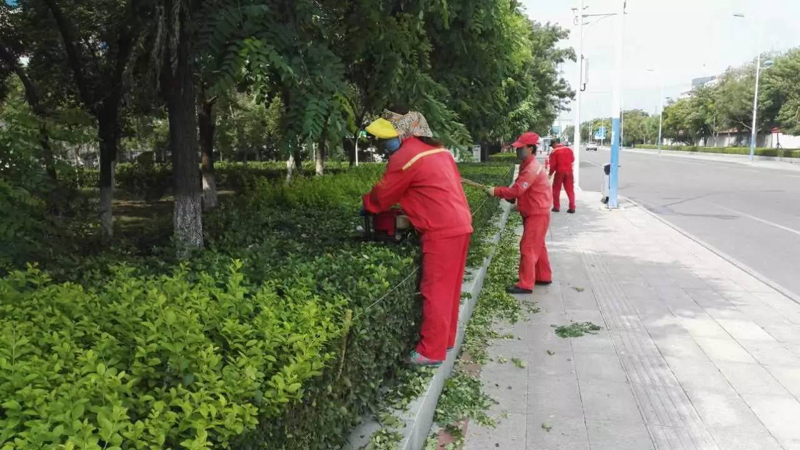 紫薇花苗木批发：如何选择优质苗木？