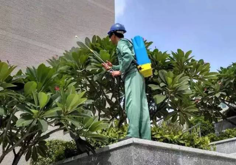 河北昊森园林工程，一个专注于园林绿化、景观设计与苗木供应的专业团队，在行业内积累了丰富的经验。今天，我们将通过经验分享类文章的形式，探讨苗木供应合同时需要注意的几个关键点。